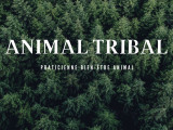 Animal Tribal