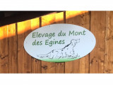 Du Mont Des Egines
