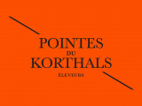 Pointes Du Korthals