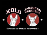 Les Hairless Des Dombes