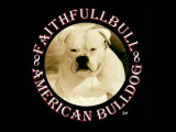 Faithfullbull American Bulldogs