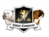 Edson Conqueror