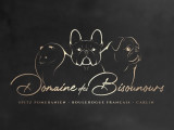 Du Domaine Des Bisounours