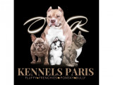 Or Kennels Paris