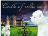Castle Of Celtic West