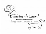 Du Domaine De Luard