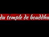 Du Temple De Bouddha