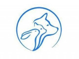 Devevet