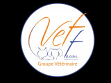 Vet Team