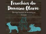 Frenchies du Domaine Olaroc