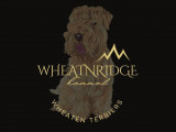 Wheatnridge