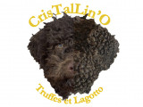 Cristallino Truffes et Lagotto