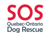 SOS Quebec-Ontario Dog Rescue