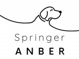Springer Anber