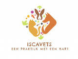 Iscavets