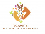 Iscavets