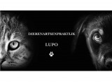 Lupo