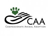 Compassionate Animal Adoption