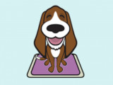 Pension canine chez Michelle