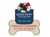 Super Puppy Education