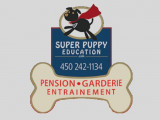 Super Puppy Education