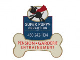 Super Puppy Education