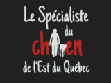Le Spécialiste Du Chien De L'est