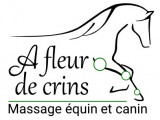 À fleur de crins