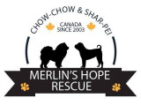 Merlin's Hope Rescue