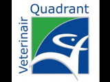 Quadrant