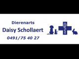 Daisy Schollaert