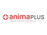 AnimaPlus Rock Forest