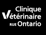 Clinique vétérinaire rue Ontario Inc.