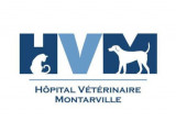 L’Hôpital vétérinaire Montarville