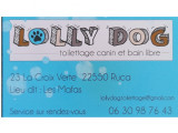 Lolly Dog