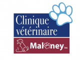 Clinique vétérinaire Maloney