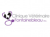 Clinique vétérinaire Fontainebleau