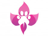 Clinique vétérinaire Côté
