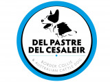 Del Pastre Del Cesaleir