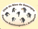Club du Bleu de Gascogne, Gascon-Saintongeois et Ariégeois