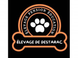 Complexe canin et félin de Destarac