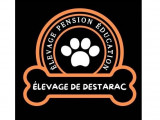 Complexe canin et félin de Destarac