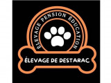 Complexe canin et félin de Destarac