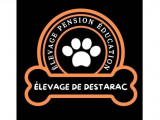 Complexe canin et félin de Destarac