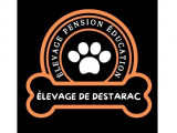 Complexe canin et félin de Destarac