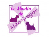 Le Moulin De Mac Gregor