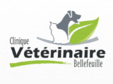 Clinique vétérinaire Bellefeuille