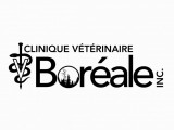 Clinique Vétérinaire Boréal
