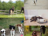 Les Collines Rhodaniennes