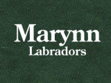 Marynn Labradors